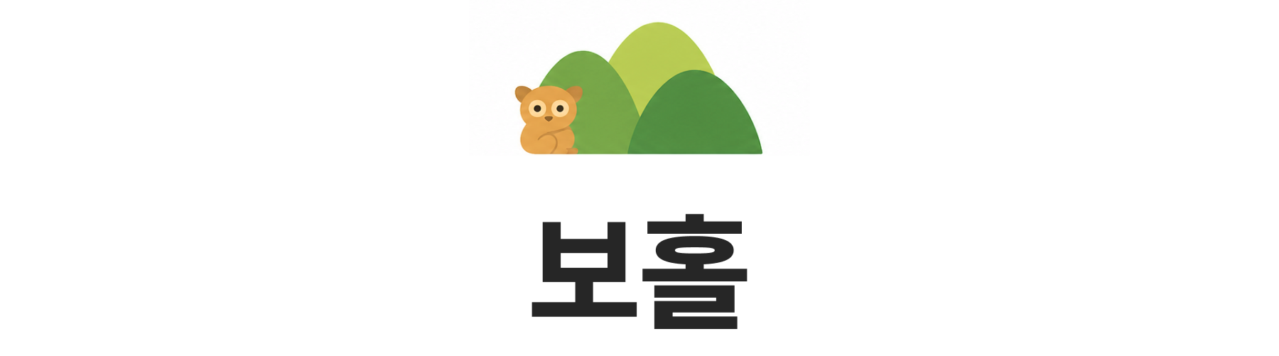 보홀