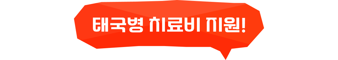 호텔부터 투어·스파