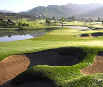 세미 프로