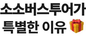 베테랑 한국인 가이드