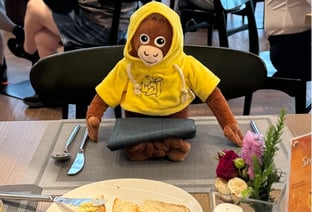 몽키팩