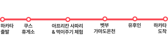 성인 전용 아프리칸 사파리